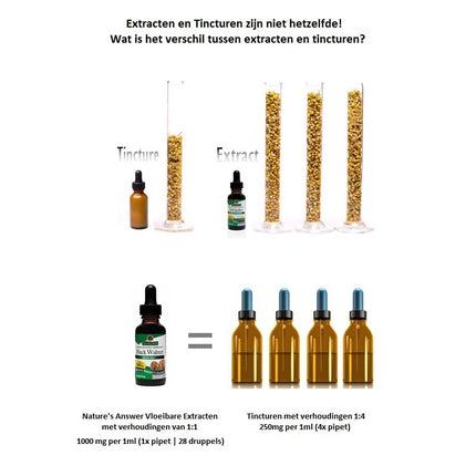 Rhodiola extract Nature's Answer