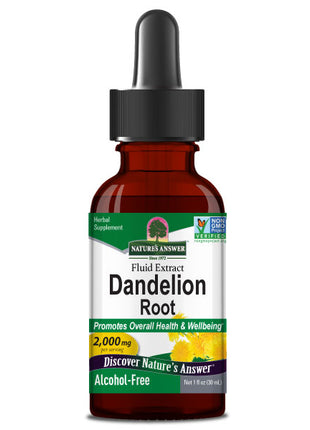 Paardenbloem (Dandelion) Extract – Alcoholvrij & Vloeibaar