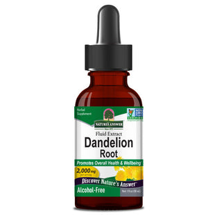 Paardenbloem (Dandelion) Extract – Alcoholvrij & Vloeibaar